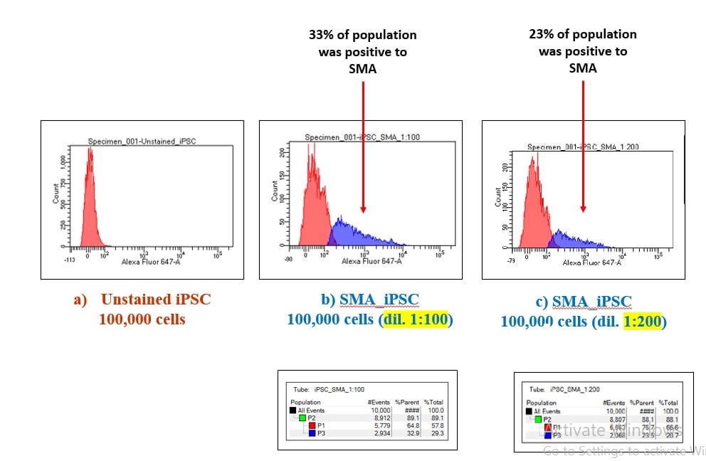 Human alpha-Smooth Muscle Actin Alexa Fluor® 647-conjugated Antibody IC1420R