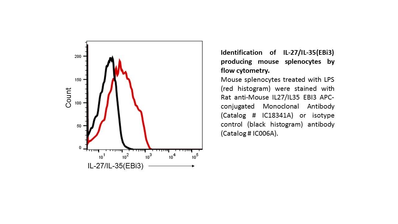 Mouse EBI3 APC-conjugated Antibody IC18341A