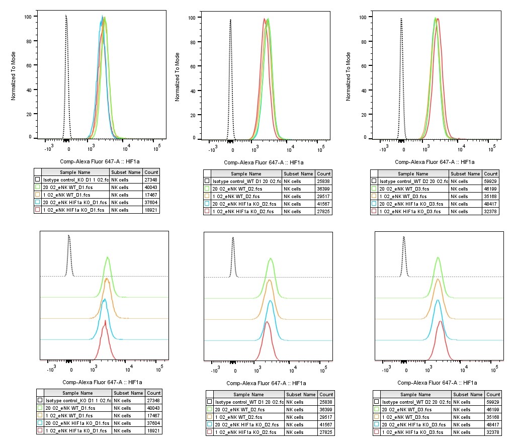 Human/Mouse HIF-1 alpha/HIF1A Alexa Fluor® 647‑conjugated Antibody IC1935R