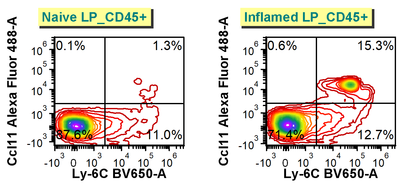 Human CCL11/Eotaxin Alexa Fluor® 488-conjugated Antibody IC3201G