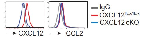 Human/Mouse CXCL12/SDF‑1 APC‑conjugated Antibody IC350A