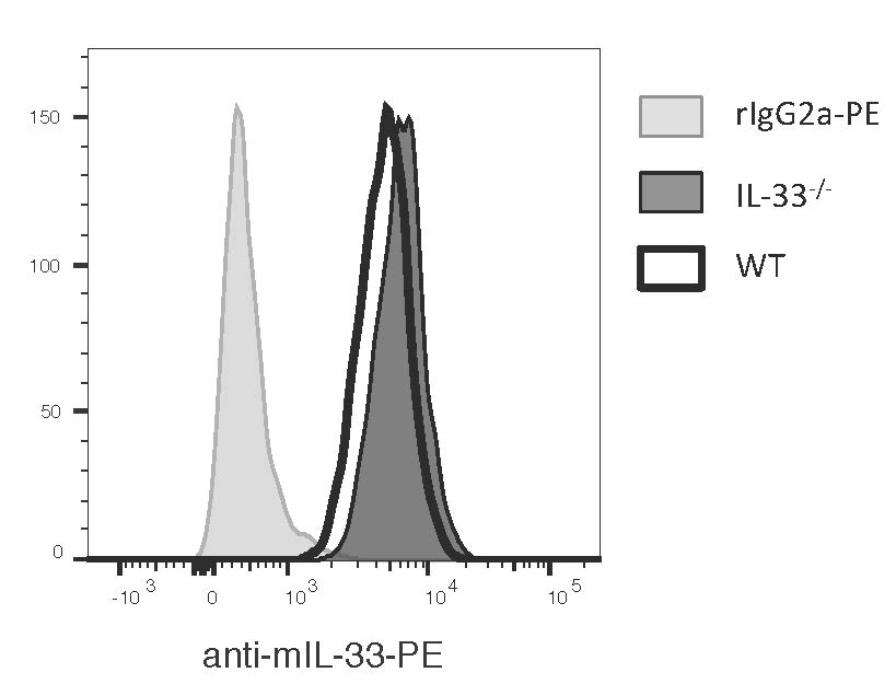 Mouse IL‑33 PE‑conjugated Antibody IC3626P