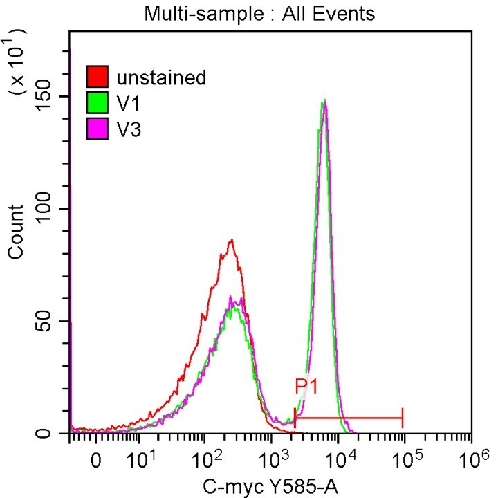 Human c‑Myc PE‑conjugated Antibody IC3696P