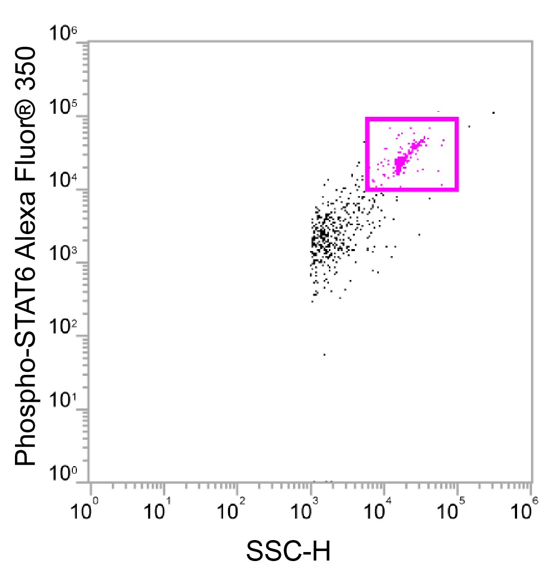 Phospho-STAT6 (Y641) Alexa Fluor® 350‑conjugated Antibody IC3717U