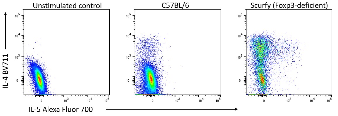 Human/Mouse IL-5 Alexa Fluor® 700-conjugated Antibody IC405N