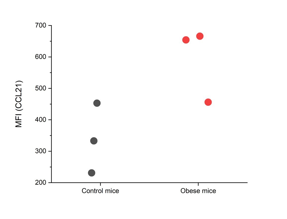 Mouse CCL21/6Ckine Alexa Fluor® 488-conjugated Antibody IC457G