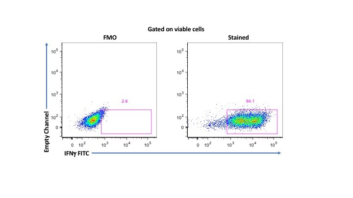 Mouse IFN‑ gamma  Fluorescein‑conjugated Antibody IC485F