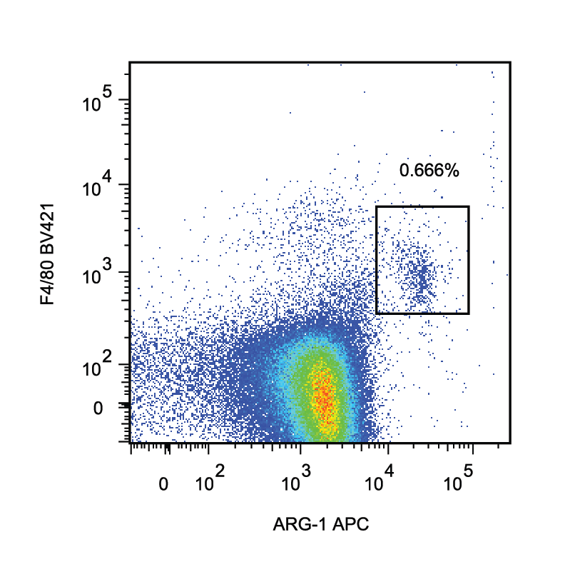 Human/Mouse Arginase 1/ARG1 APC‑conjugated Antibody IC5868A