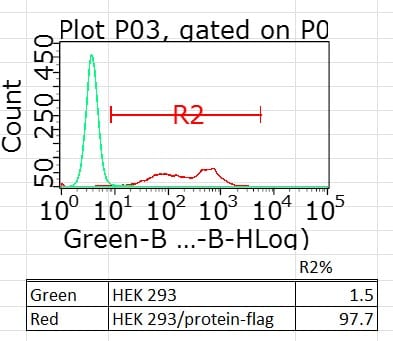 DYKDDDDK Epitope Tag Alexa Fluor® 488‑conjugated Antibody IC8529G