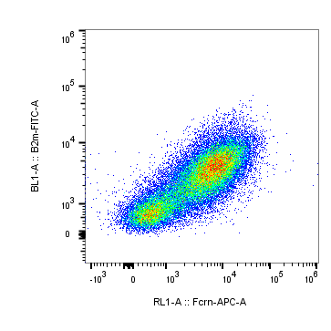 Human FCRN Alexa Fluor® 647‑conjugated Antibody IC8639R
