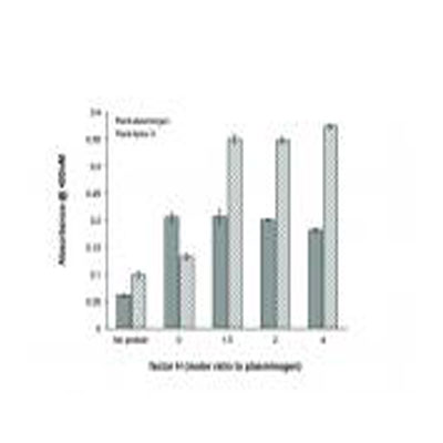 Plasminogen Antibody - BSA Free NB600-930