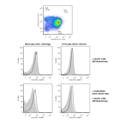 BLIMP1/PRDM1 Antibody (3H2-E8) [Biotin] NB600-235B