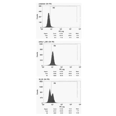 Luciferase Antibody (Luci 21 1-107) - BSA Free NB600-307