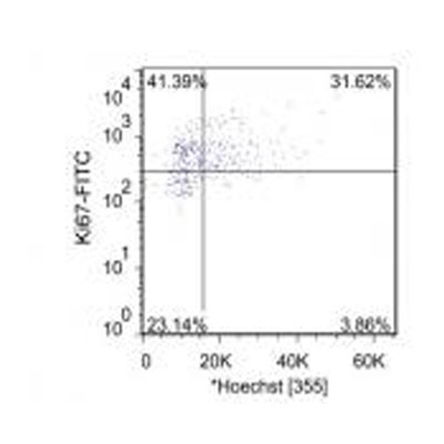 Ki67/MKI67 Antibody - BSA Free NB110-89717