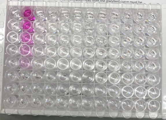 Total Nitric Oxide and Nitrate/Nitrite Parameter Assay Kit KGE001