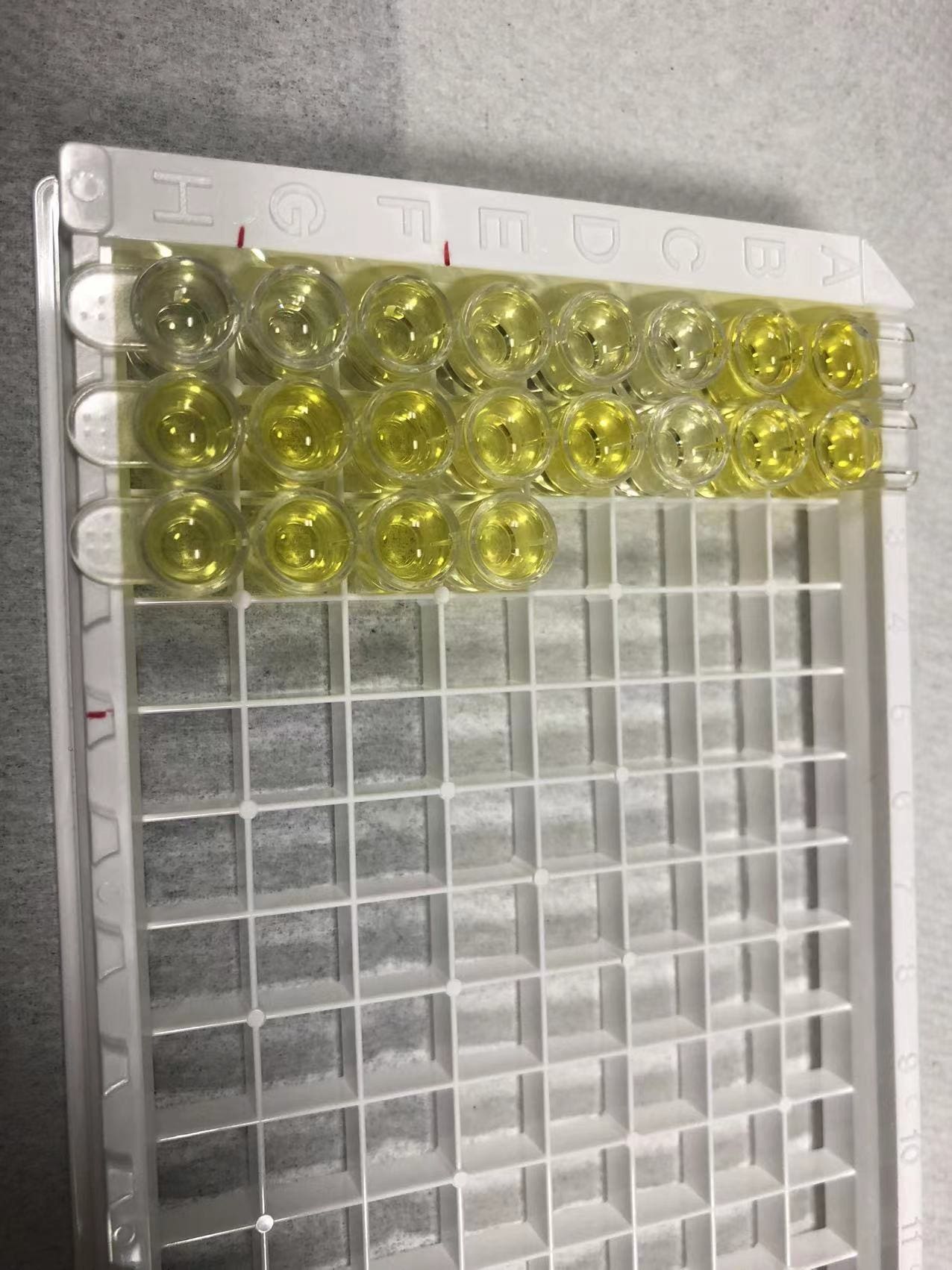 Prostaglandin E2 Parameter Assay Kit KGE004B