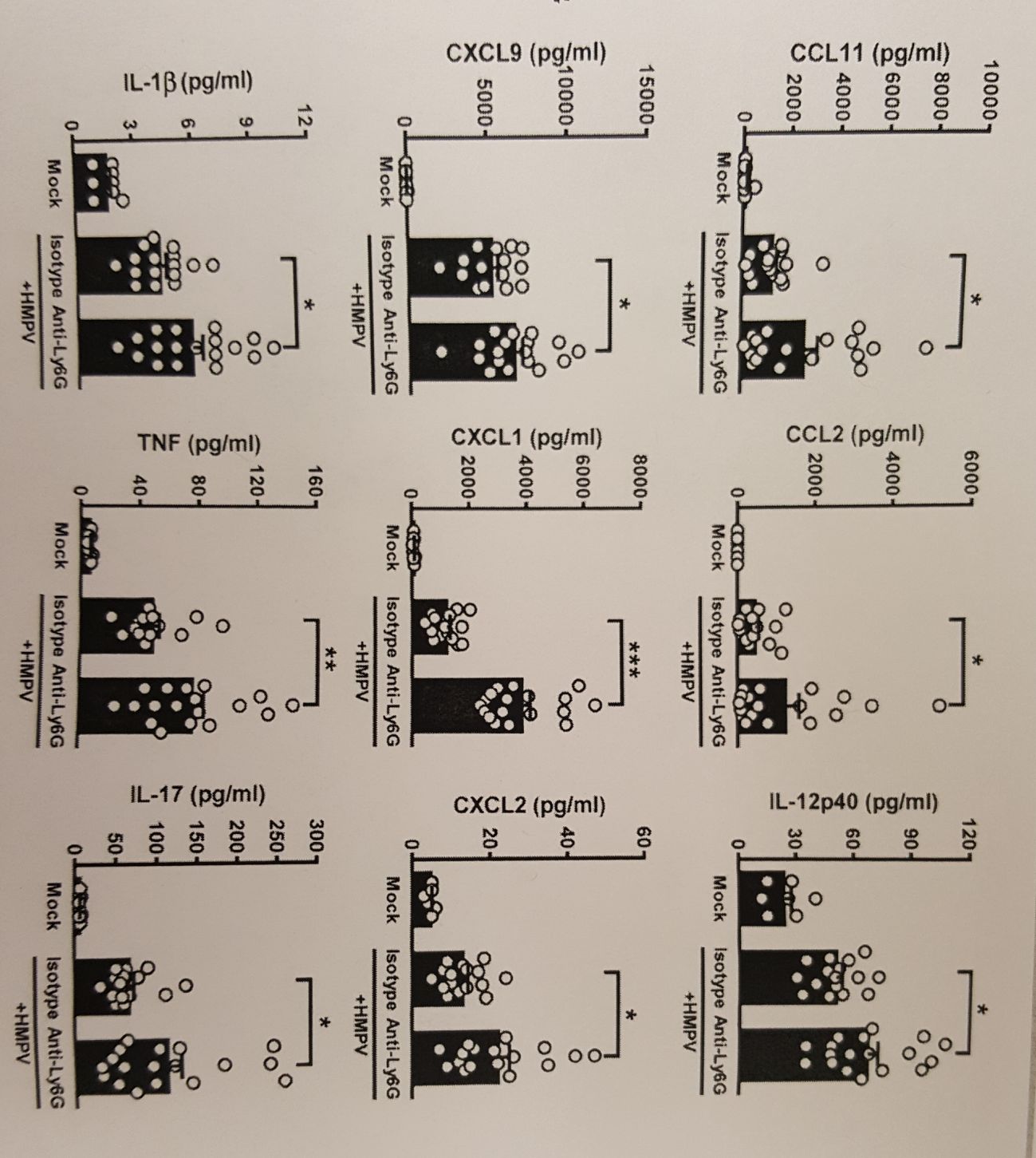 Mouse Luminex® Discovery Assay LXSAMSM