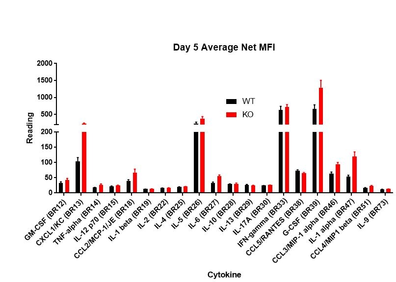 Mouse Luminex® Discovery Assay LXSAMSM