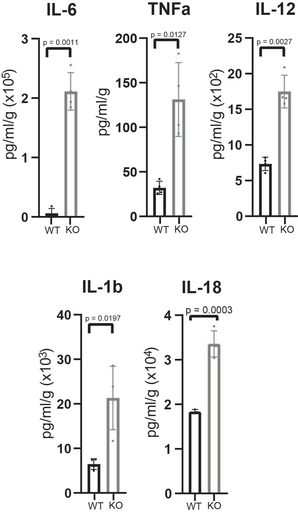 Mouse Luminex® Discovery Assay LXSAMSM