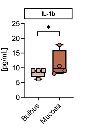Rat Luminex® Discovery Assay LXSARM