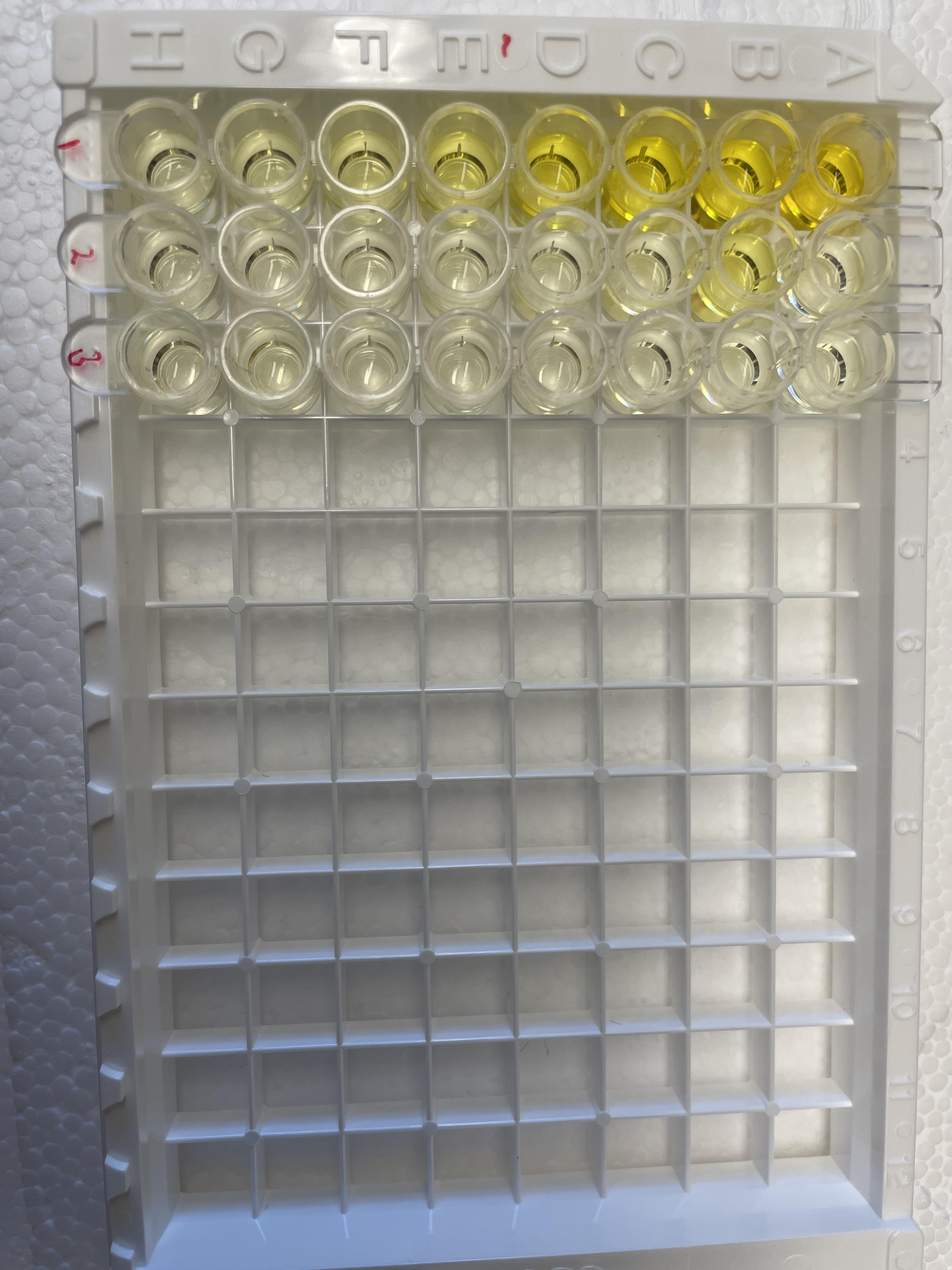 Mouse IL-6 Quantikine ELISA Kit M6000B