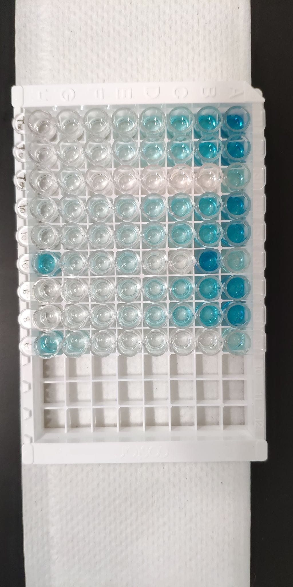 Mouse IL-6 Quantikine ELISA Kit M6000B