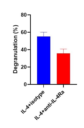 Mouse IgG2A Isotype Control MAB003