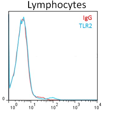 Mouse IgG2B Isotype Control MAB004