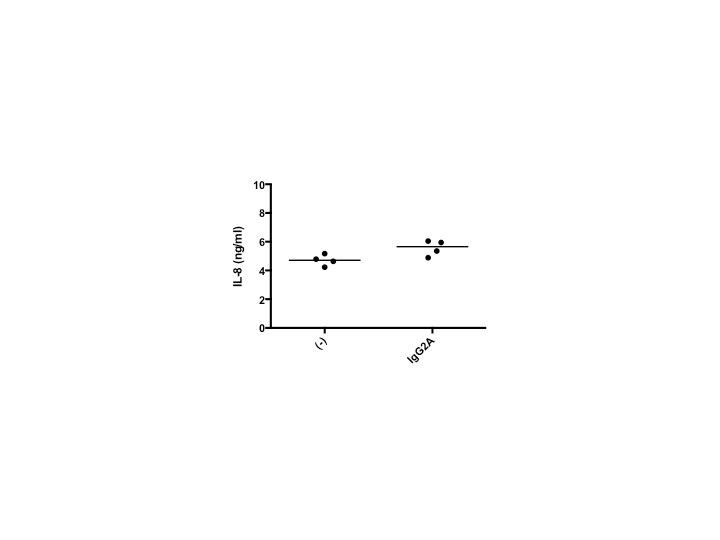 Rat IgG2A Isotype Control MAB006