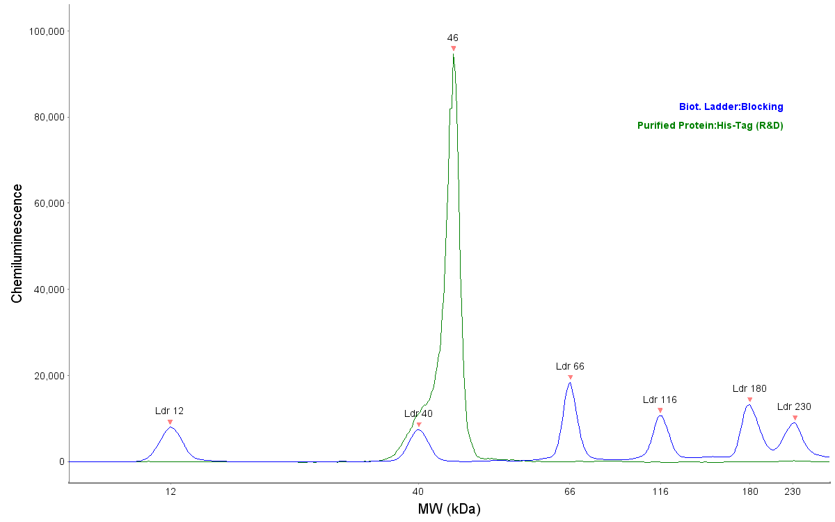 His Tag Horseradish Peroxidase-conjugated Antibody MAB050H