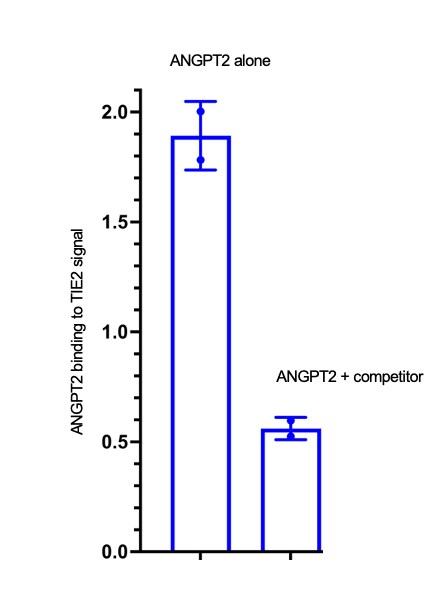 Human/Mouse Angiopoietin‑2 Antibody MAB098
