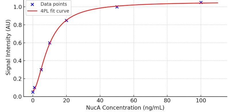 NucA nuclease Antibody MAB100632