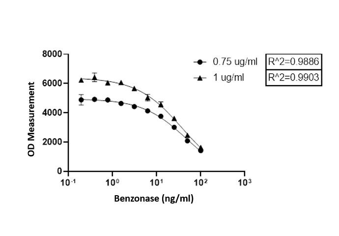 NucA nuclease Antibody MAB100634