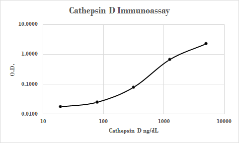 Human Cathepsin D Antibody MAB10142