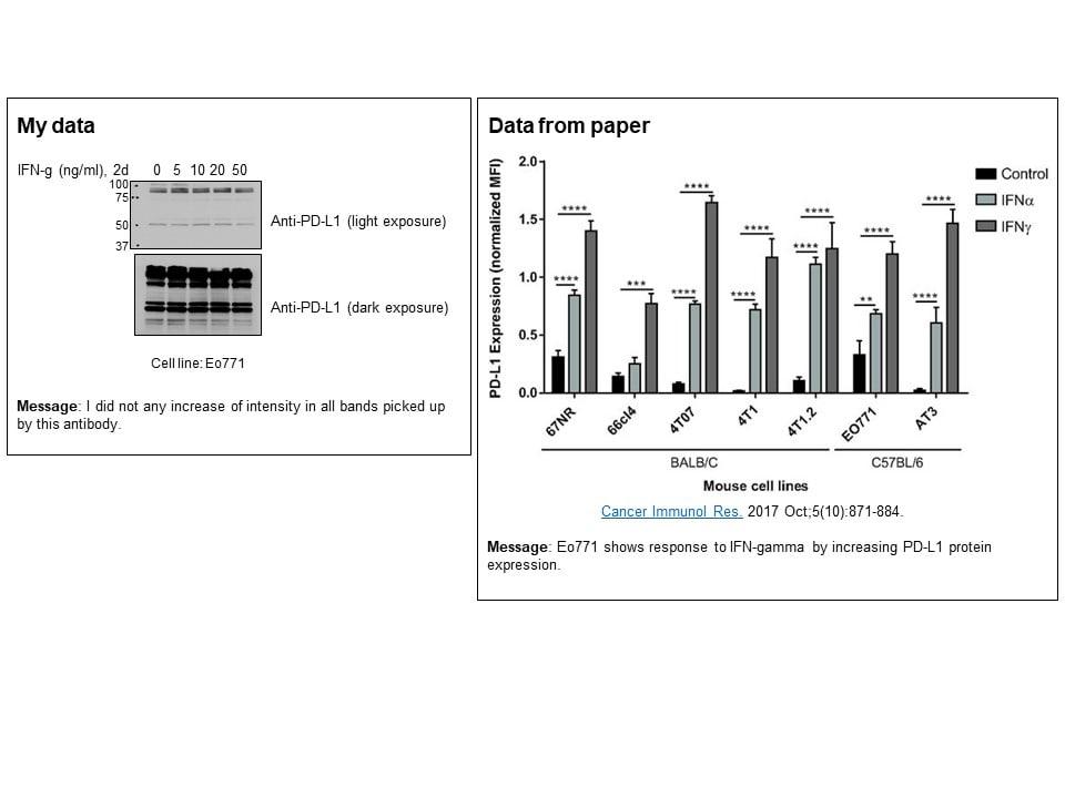 Mouse PD-L1/B7-H1 Antibody MAB1019