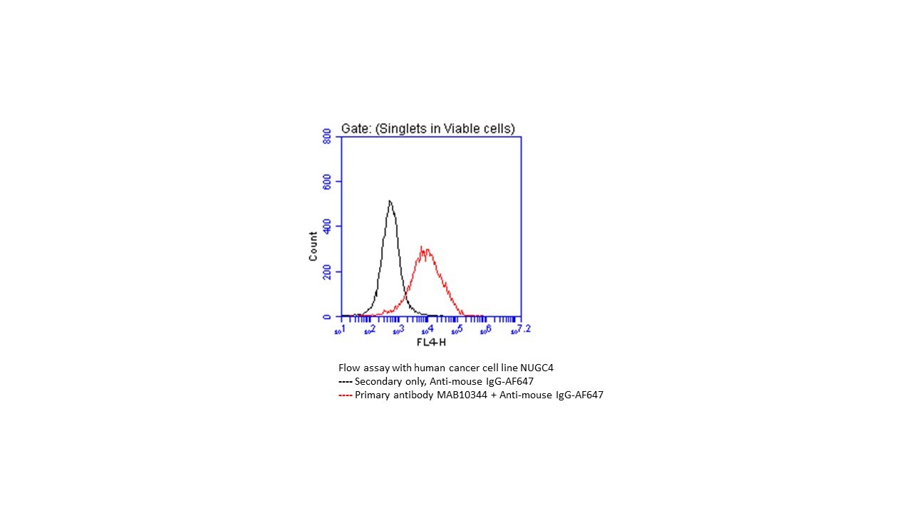 Human Claudin-15 Antibody MAB10344