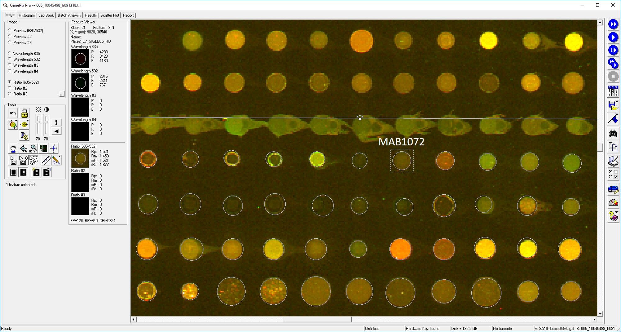 Human Siglec‑5/CD170 Antibody MAB1072