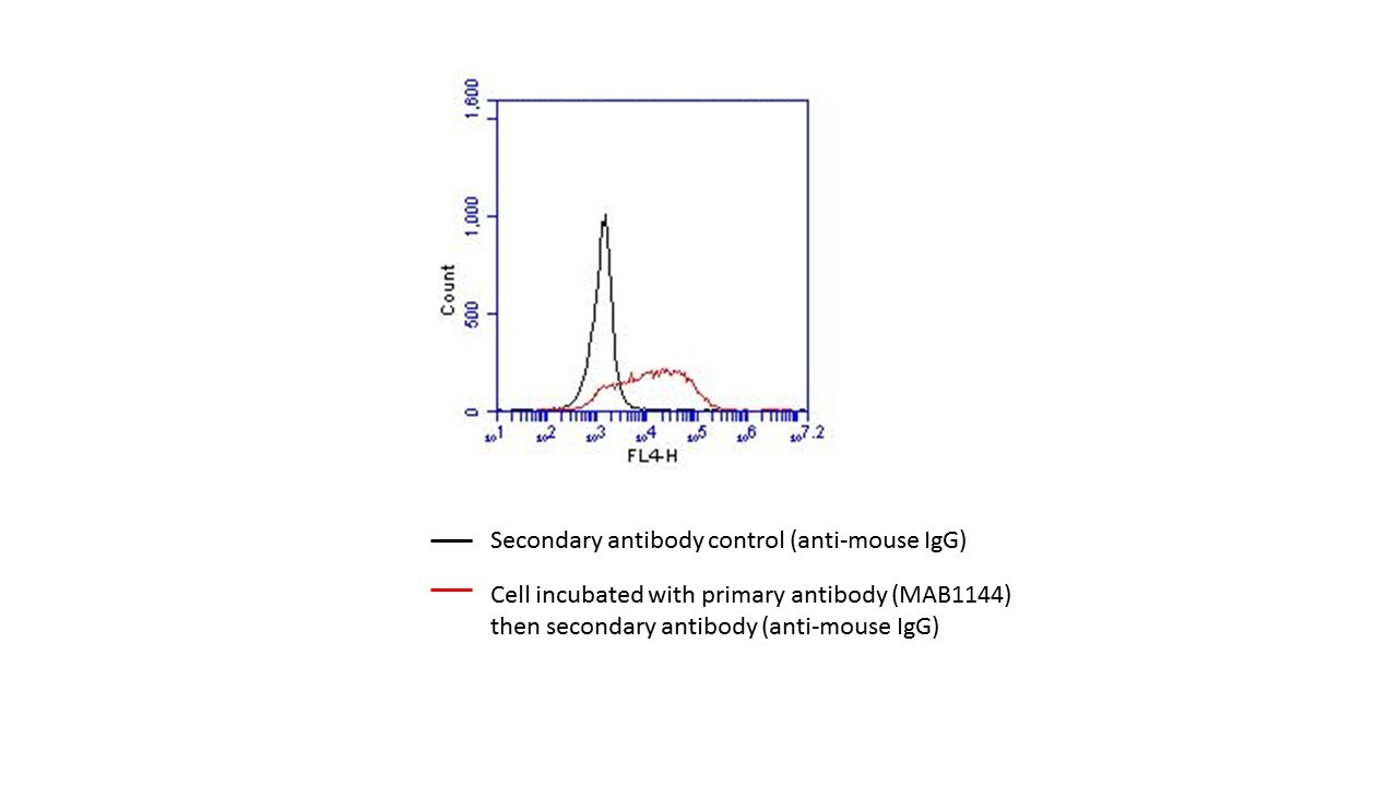Human Pref‑1/DLK1/FA1 Antibody MAB1144