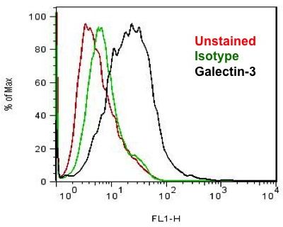 Human Galectin‑3 Antibody MAB11541