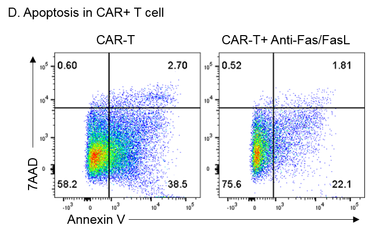 Human Fas Ligand/TNFSF6 Antibody MAB126