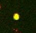 Human Integrin  alpha 3/CD49c Antibody MAB1345