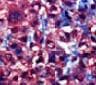 Human/Mouse/Rat  alpha ‑Smooth Muscle Actin Antibody MAB1420