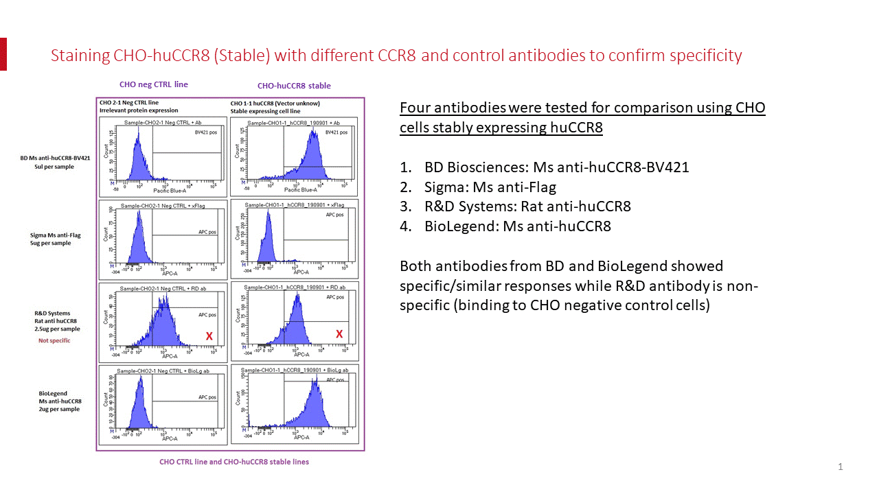 Human CCR8 Antibody MAB1429