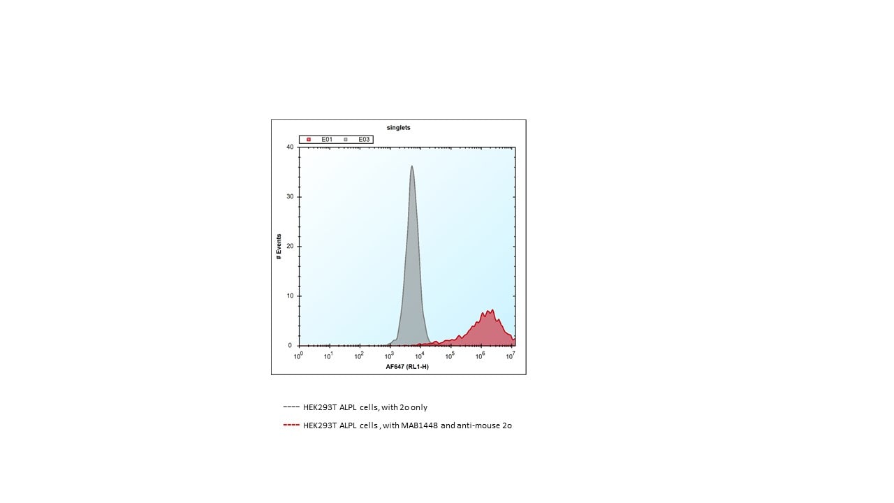 Human Alkaline Phosphatase/ALPL Antibody MAB1448