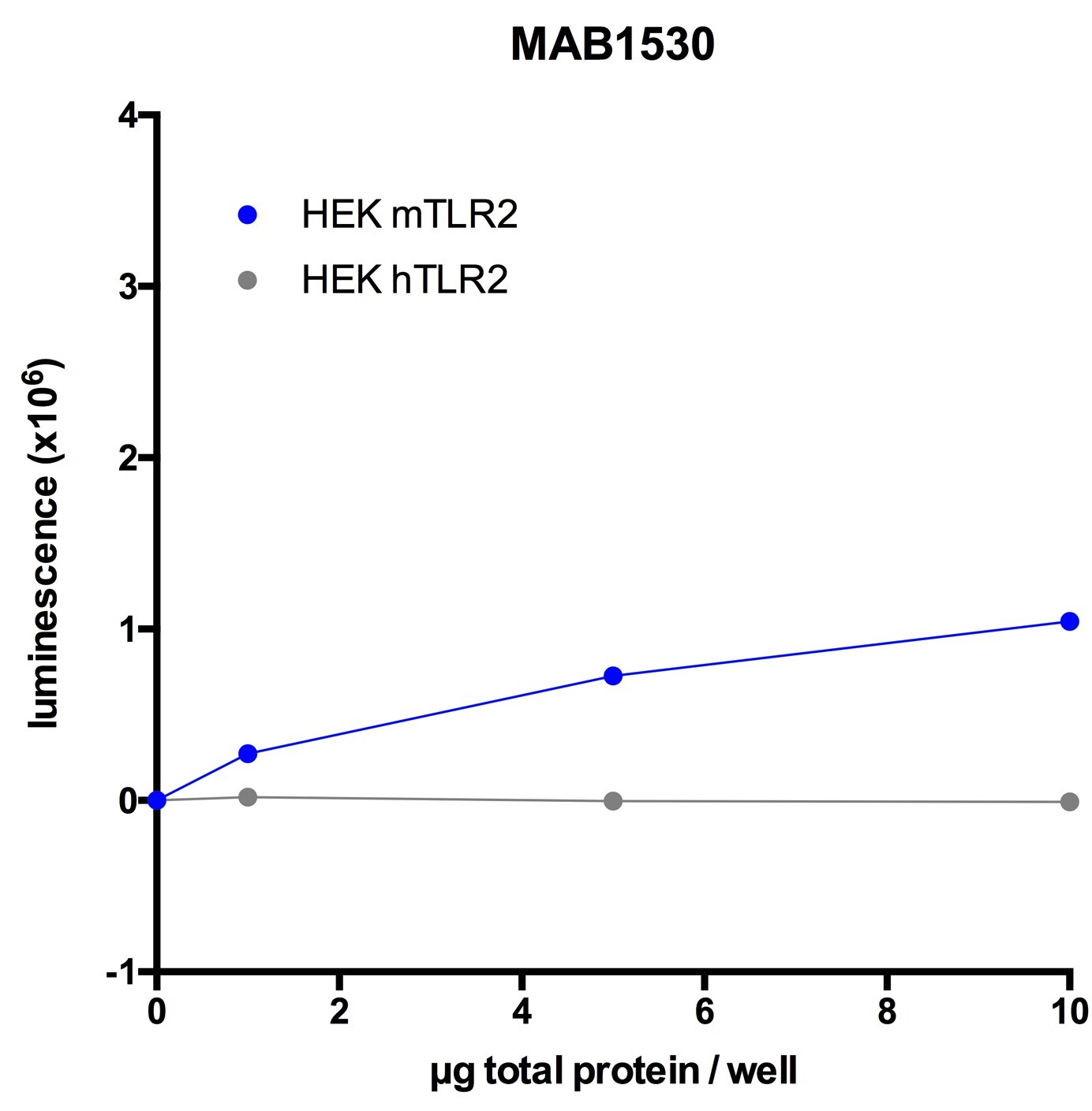 Mouse TLR2 Antibody MAB1530