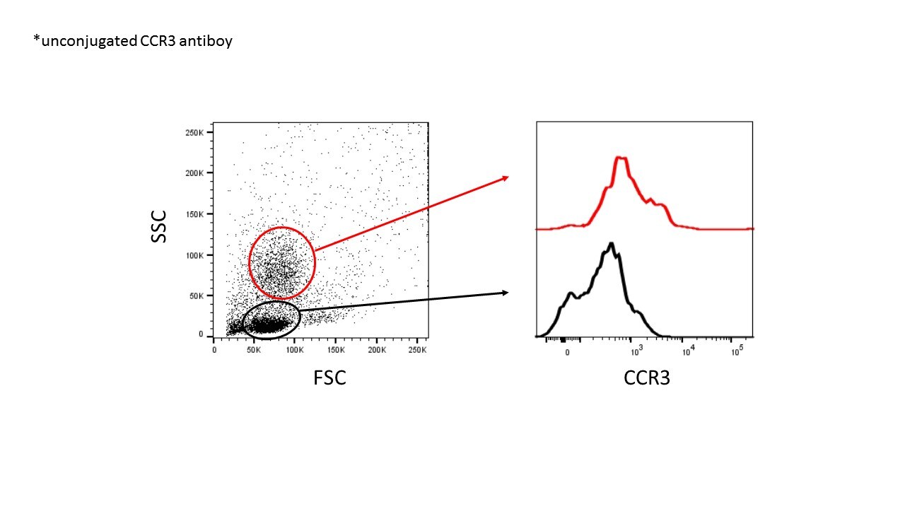 Mouse CCR3 Antibody MAB1551