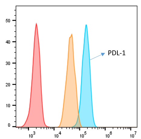 Human PD-L1/B7-H1 Antibody MAB1561