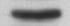 Human CD163 Antibody MAB1607
