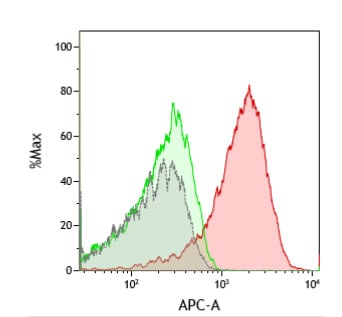 Human CXCR3 Antibody MAB160
