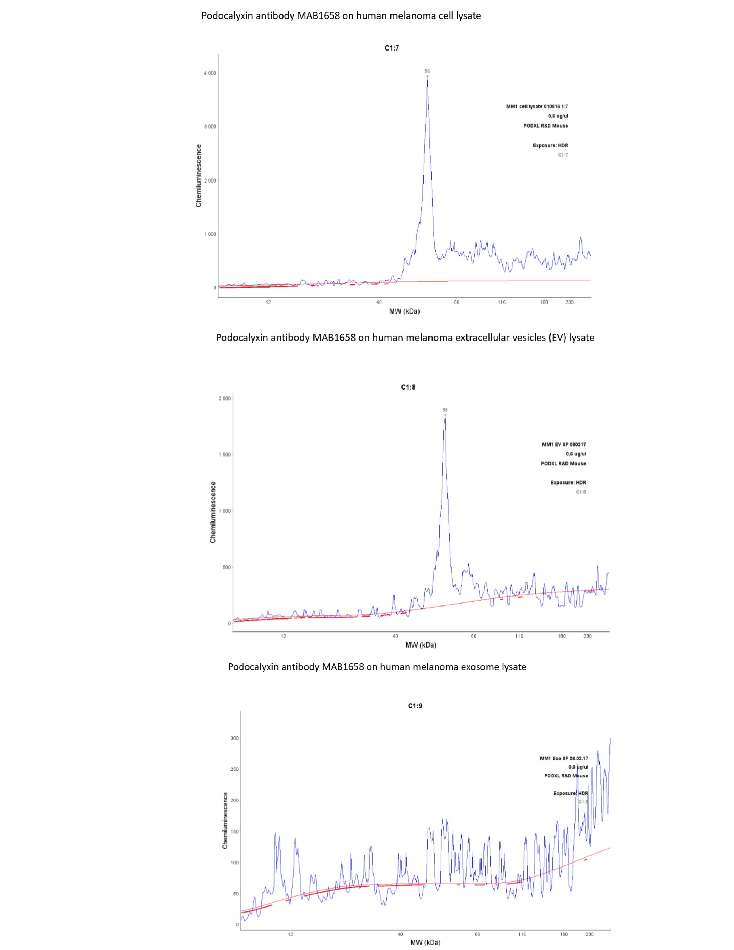 Human Podocalyxin Antibody MAB1658